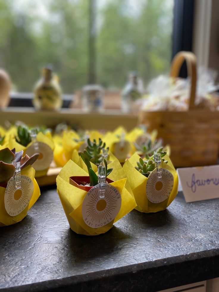 small yellow flower pots with succulents in them sitting on a counter top