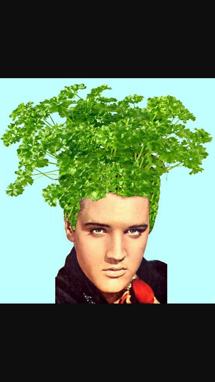 a man with green plants on his head