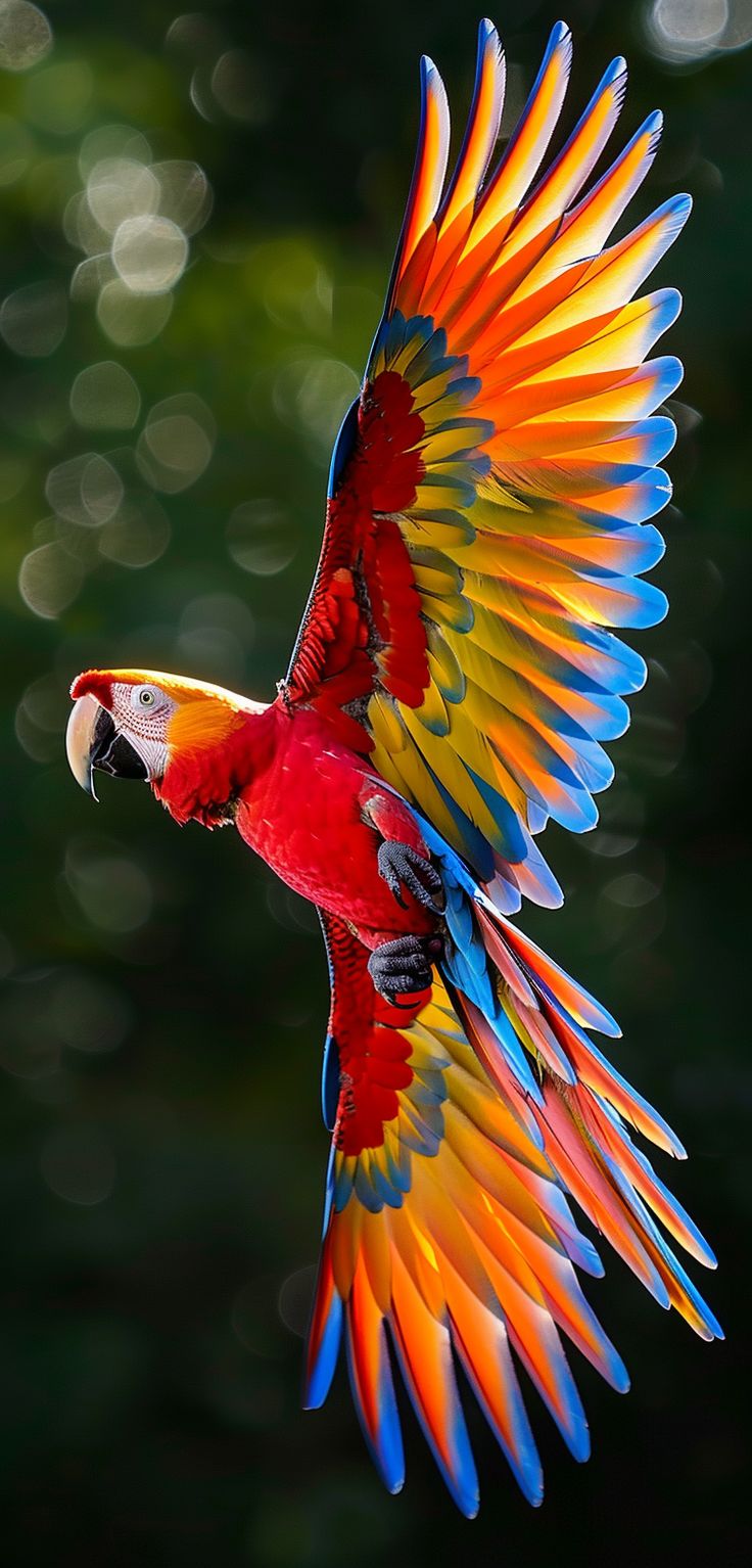 a colorful parrot flying through the air