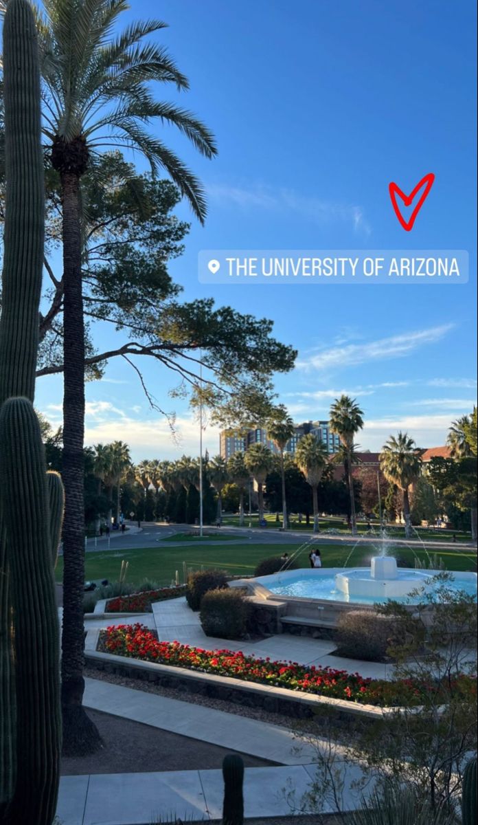 the university of arizona campus with cactus and fountain