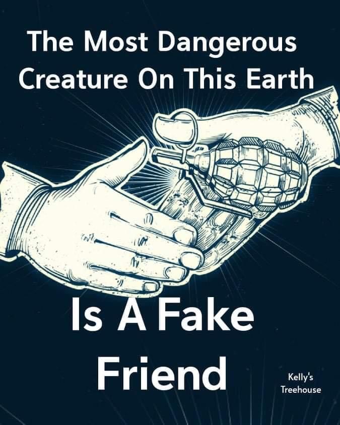 a poster that says, the most dangerous creature creature on this earth is a fake friend