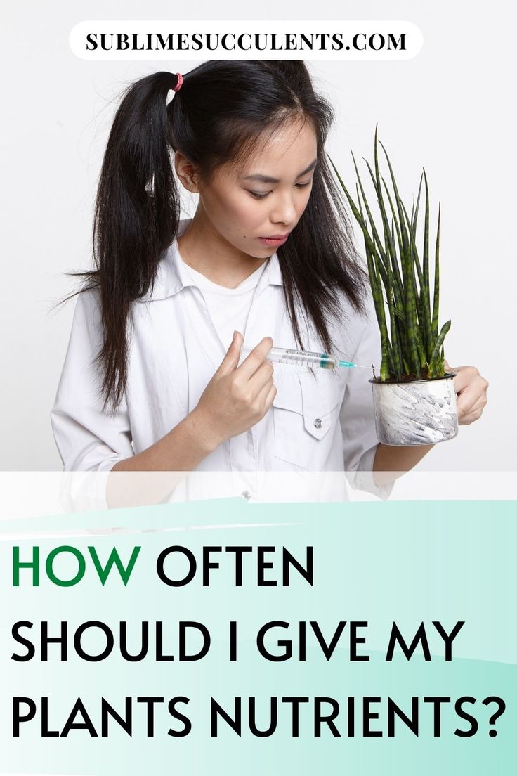 a woman holding a potted plant with the words how often should i give my plants nut