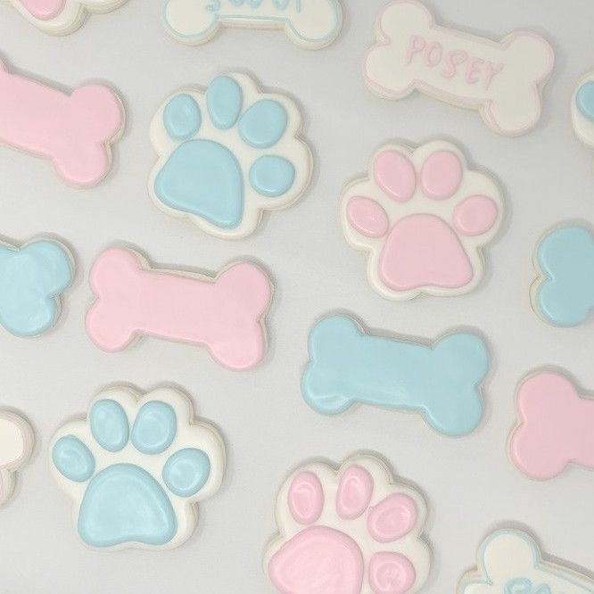 dog paw and bone shaped cookies on a white plate with pink, blue, and green icing