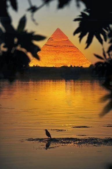 an image of the great pyramid at sunset from across the water with trees in foreground