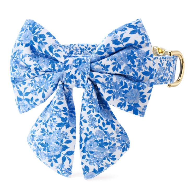 a blue and white flowered bow tie on a dog's collar with a gold buckle