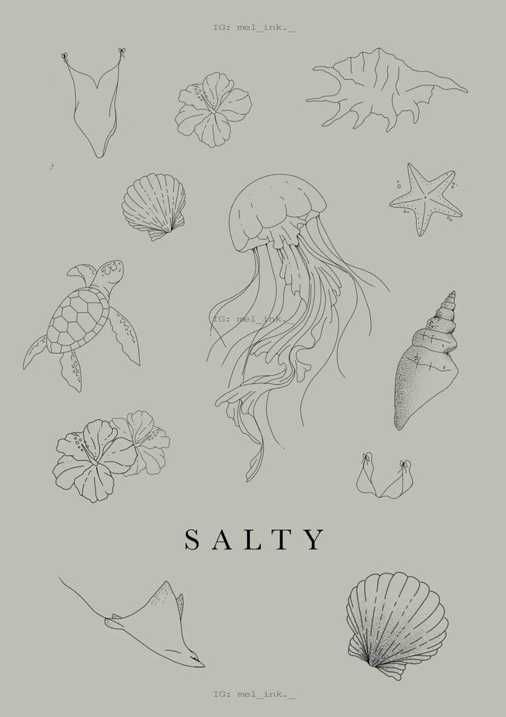 an image of some sea animals and shells on a gray background with the word salty