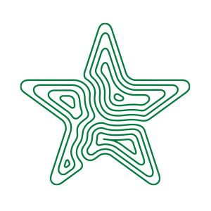 a green star shaped object with lines in the shape of a maze on white background