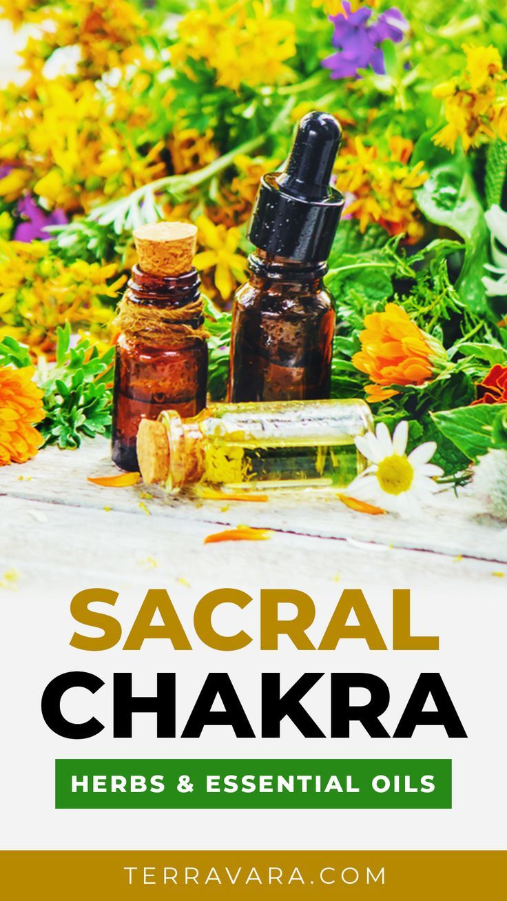 Herbs and essential oils for the Sacral Chakra. Sacral Chakra Healing Herbs, Essential Oils For Sacral Chakra, Sacral Chakra Herbs, Defuser Oils, Chakra Herbs, Sandlewood Essential Oil, Essential Oils For Healing, Essential Oils For Chakras, Oils For Healing