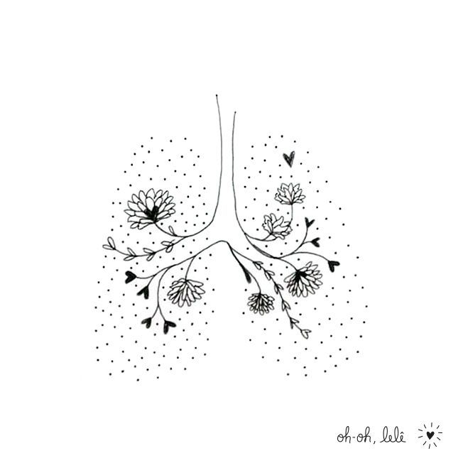 an illustration of the lungs and its branches