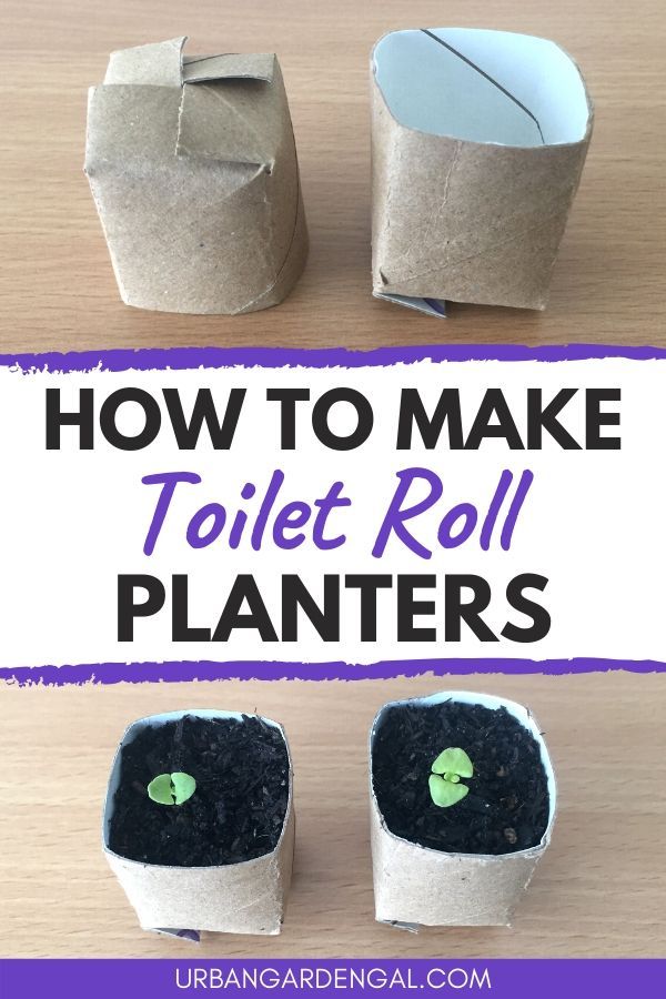 how to make toilet roll planters that are easy and fun