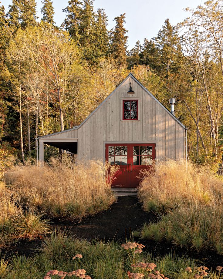 a house in the woods surrounded by tall grass and trees, with a red door