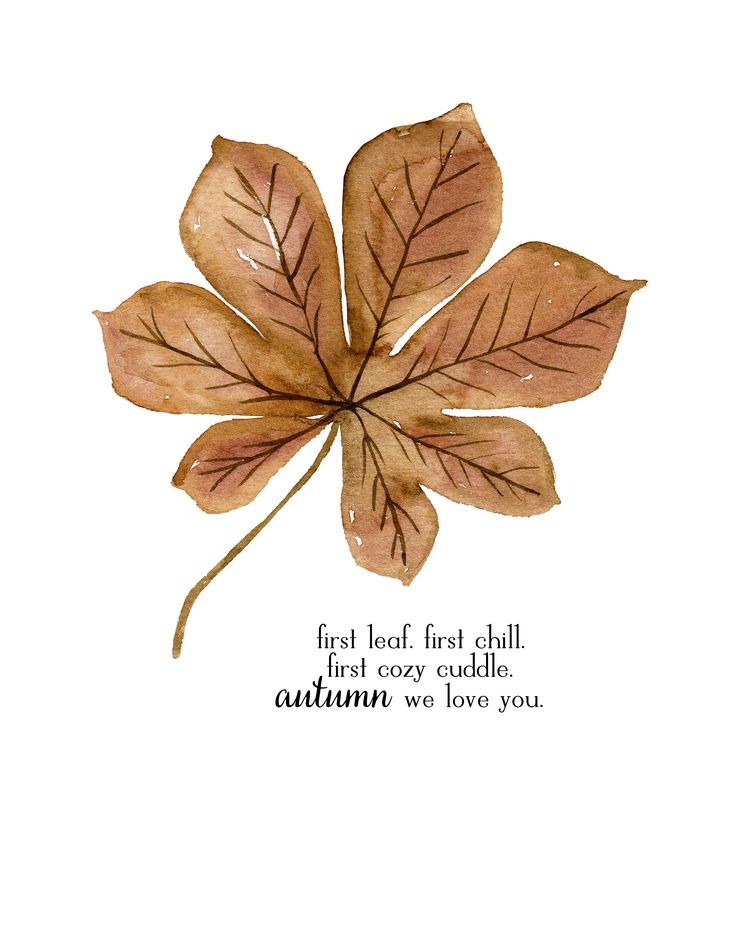 a watercolor painting of a leaf with the words, first look for this fall