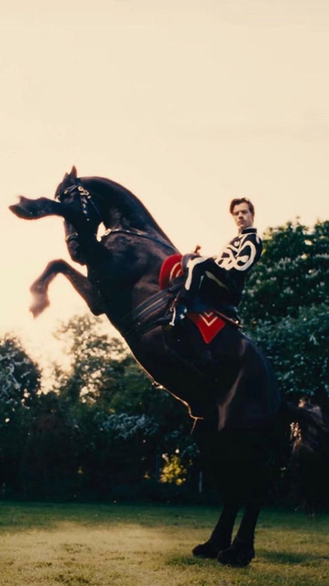 a man riding on the back of a black horse in a grassy field next to trees