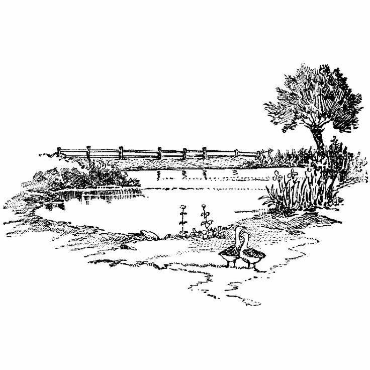 a black and white drawing of a bridge over a pond with ducks in it, surrounded by trees