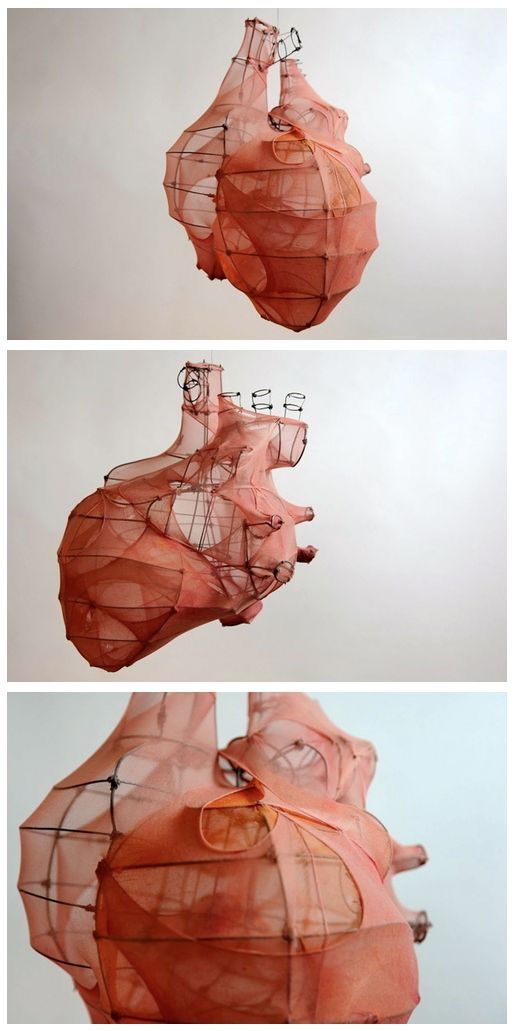 three different views of the human heart, each with an organ in it's center