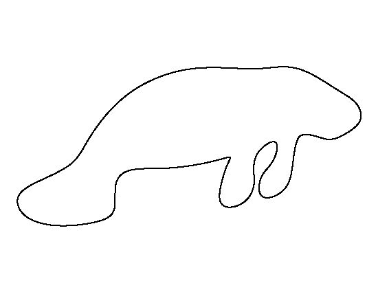 a line drawing of a long, curved animal's head and tail on a white background