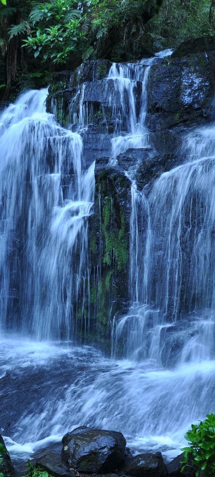 a large waterfall in the middle of a forest