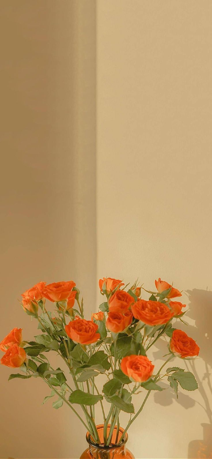 a vase filled with orange flowers on top of a table