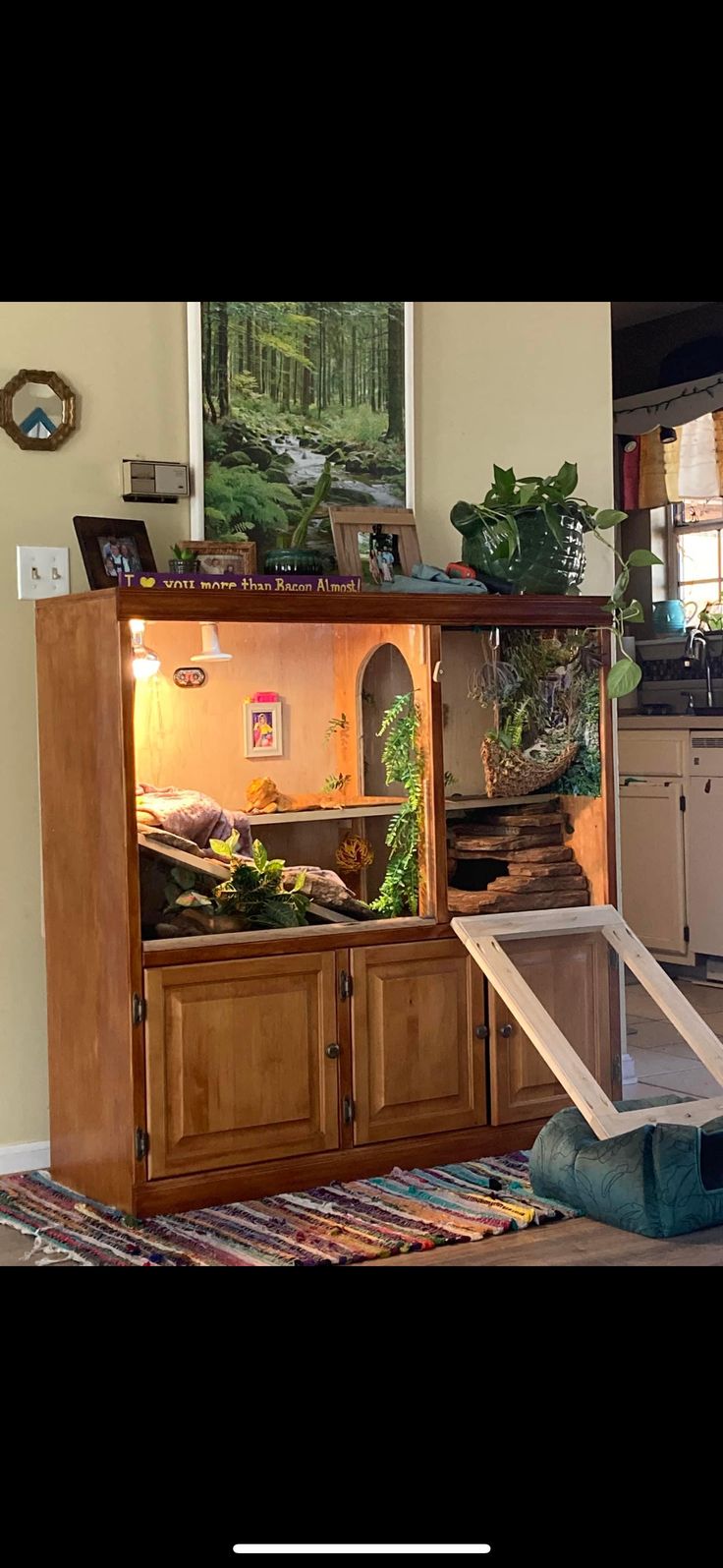 an open cabinet in the middle of a living room with plants growing out of it