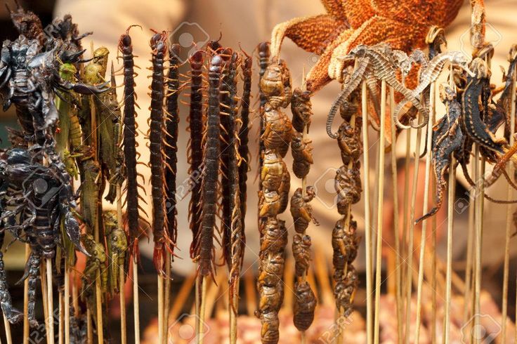 an assortment of dried and unpeeled items on sticks