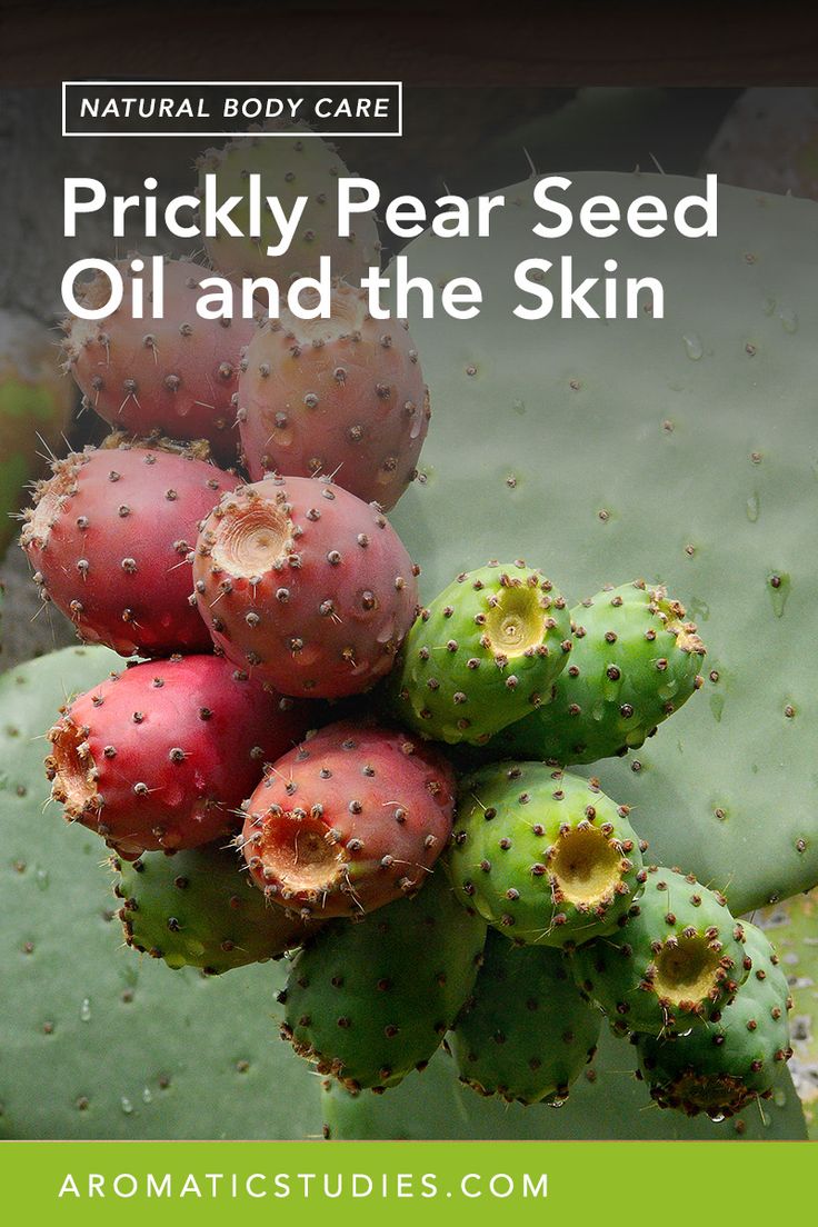 prickly pear seed oil and the skin