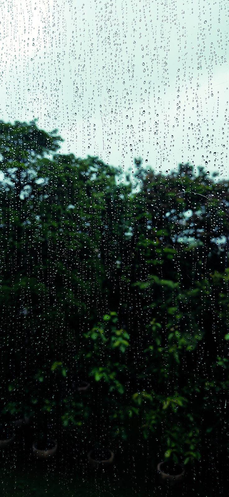 rain is falling down on the window with potted trees in the foreground and blue sky behind