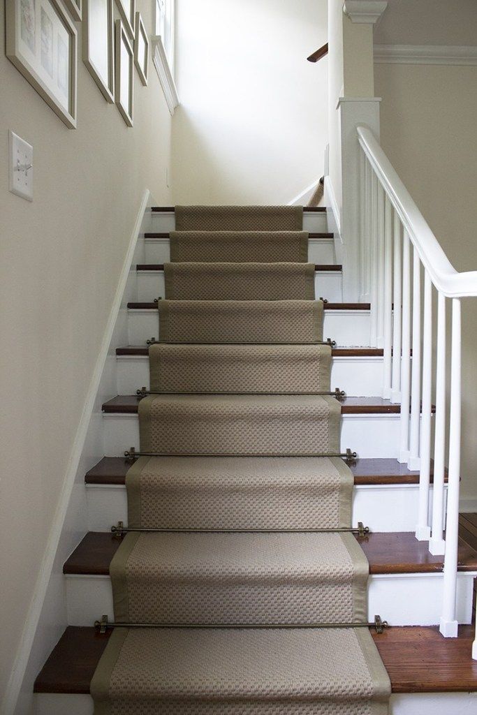 a set of stairs with carpet on the bottom and handrails to the top