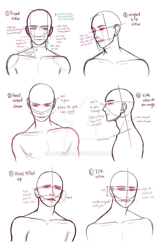 how to draw the head and shoulders