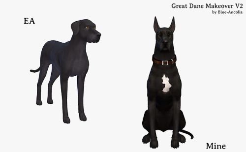 two black dogs sitting next to each other on a white background with the words eaa and