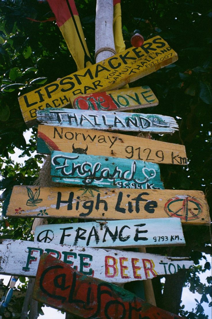 a bunch of wooden signs hanging from the side of a tree