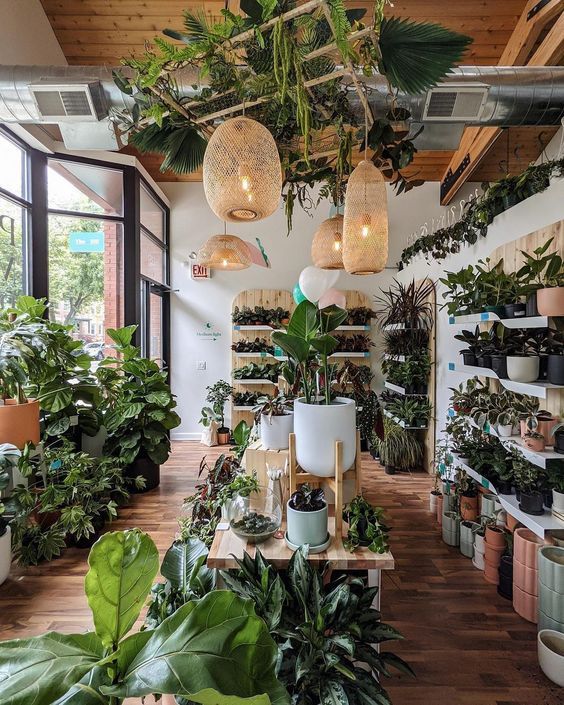 a room filled with lots of potted plants and hanging lights over the top of them