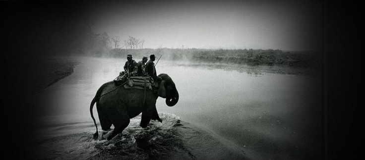 people riding on the back of an elephant across a river