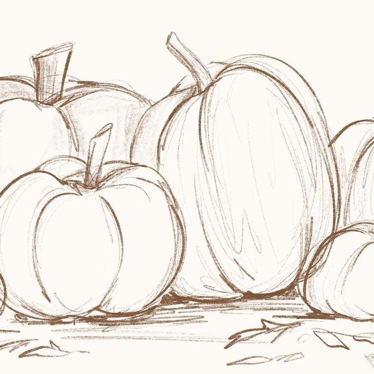 a pencil drawing of some pumpkins on the ground