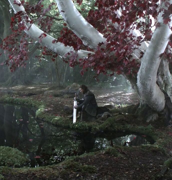 a man sitting under a tree in the middle of a forest with moss growing on it