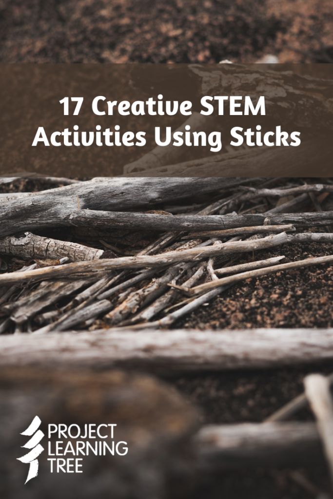 17 Creative STEM Activities Using Sticks for the Classroom  - Project Learning Tree Nature Stem Activities Preschool, Not A Stick Activities, Outdoor Stem Activities For Kids, Indoor Recess Activities, Nature Preschool, Nature Lessons, Stem Activities Preschool, Stem Projects For Kids, Tree Stem