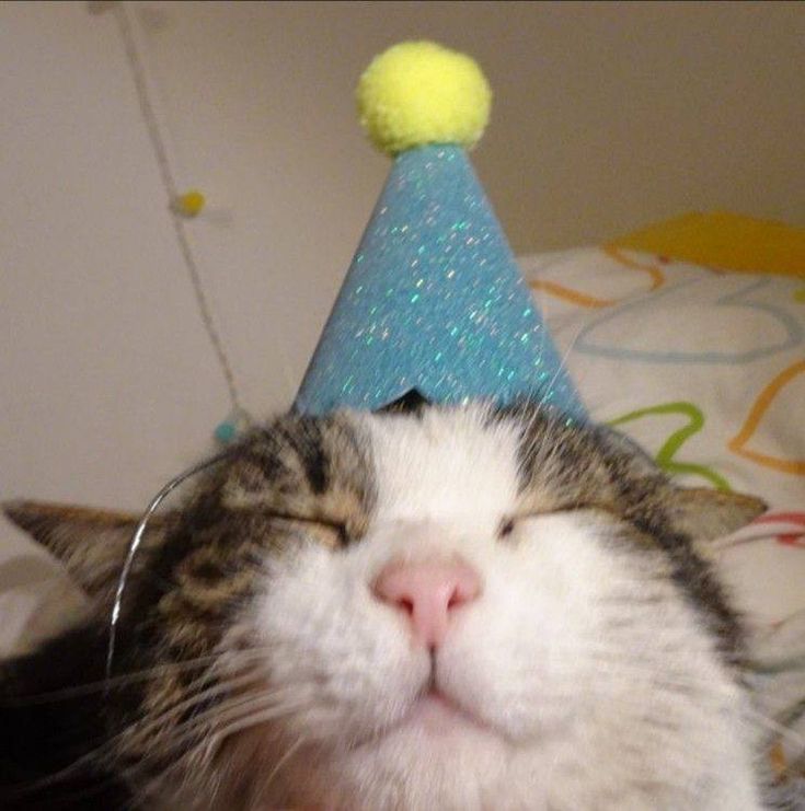 a cat wearing a party hat laying on top of a bed with it's eyes closed