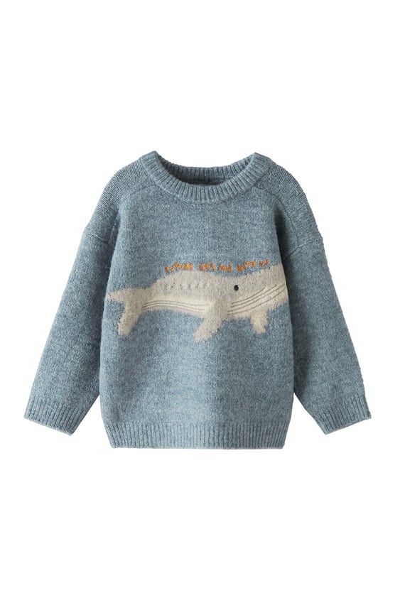 Juliet Aesthetic, Whale Sweater, T Dress, Cute Fit, Zara Sweater, Hand Knitted Sweaters, Women's Sweaters, Knitting Girls, Really Cute Outfits