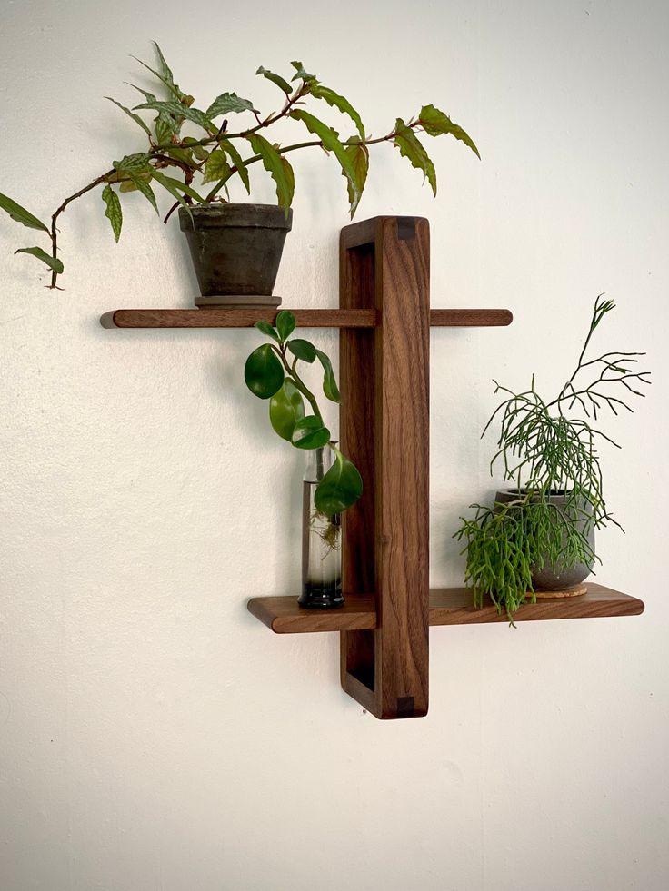 three wooden shelves with plants on them against a white wall and one shelf has a potted plant in it