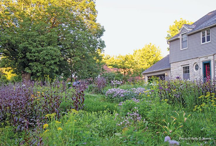 the house is surrounded by lush green and purple flowers