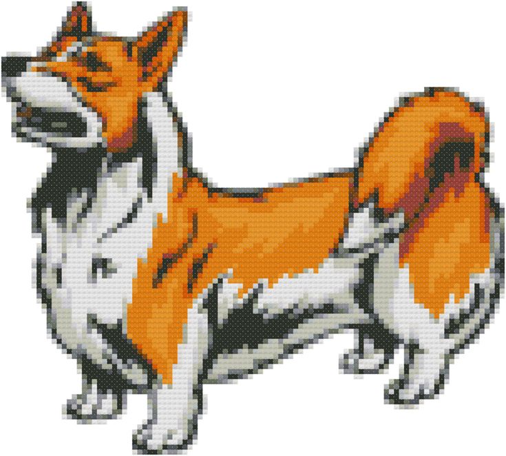 an orange and white dog with black spots