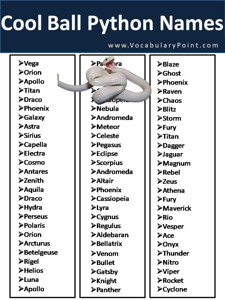 the cool ball python names are shown in this printable poster, which includes an image of