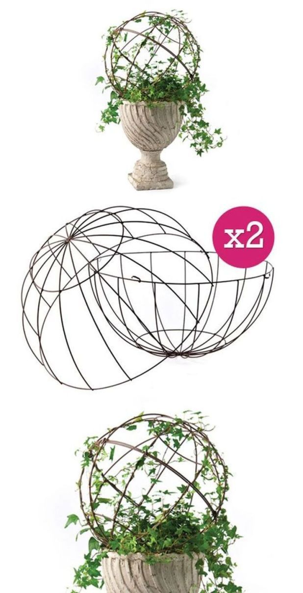 an image of a vase with plants in it on the app store's website