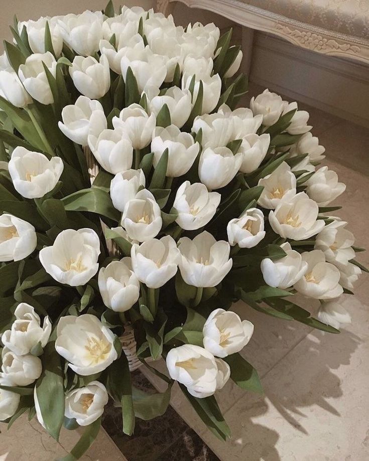 a bunch of white tulips are in a vase