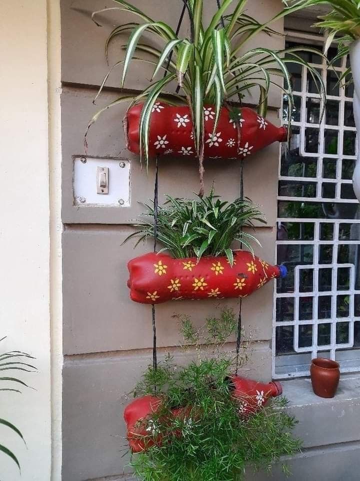 some plants are hanging on the side of a building with red pots and flowers in them