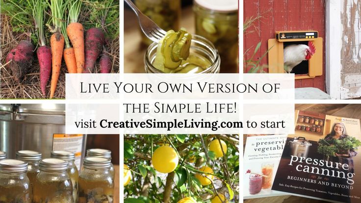 Creative Simple Living