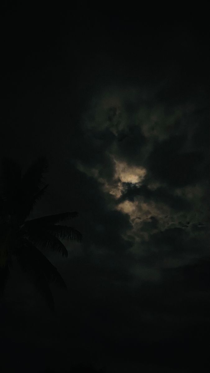 the moon is shining brightly in the dark night sky with clouds and palm trees behind it