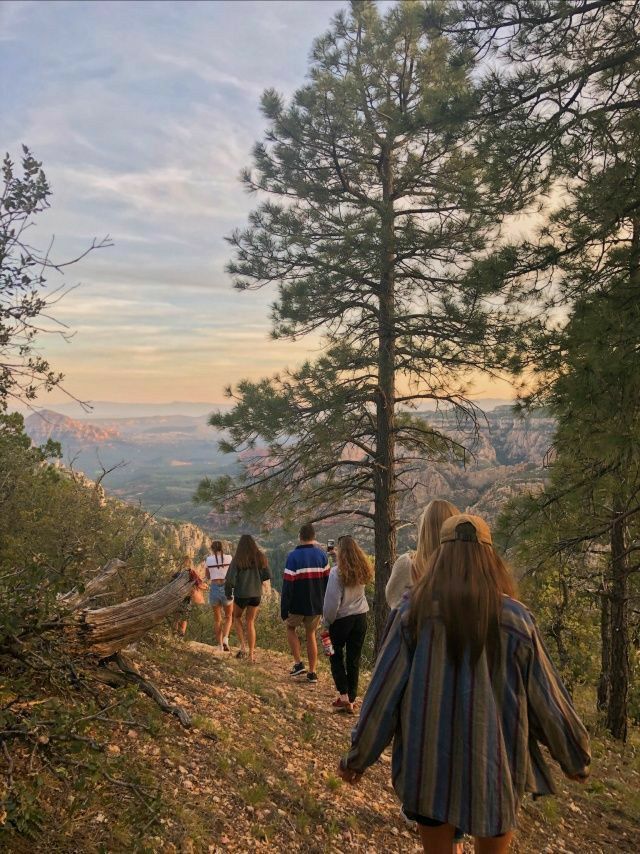 a group of people walking up a hill with trees on each side and mountains in the background