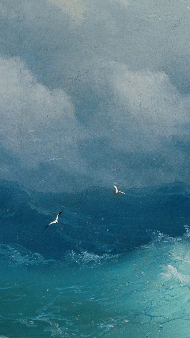 two seagulls flying over the ocean under a cloudy sky