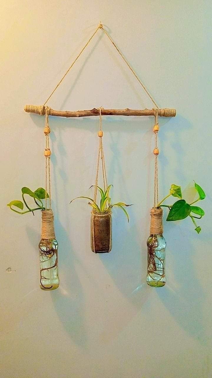 three hanging glass bottles with plants in them