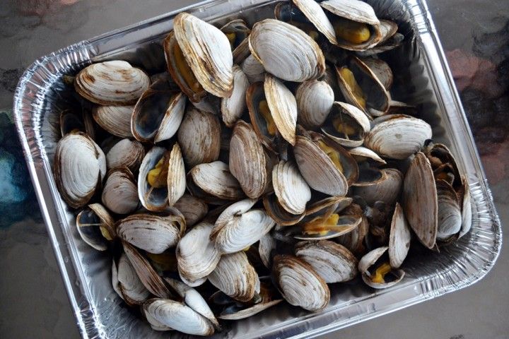 clams in a plastic container on a table